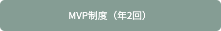 MVP制度(年2回)